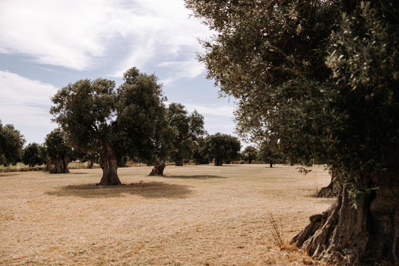 Masseria Garrappa Casa de Campo *