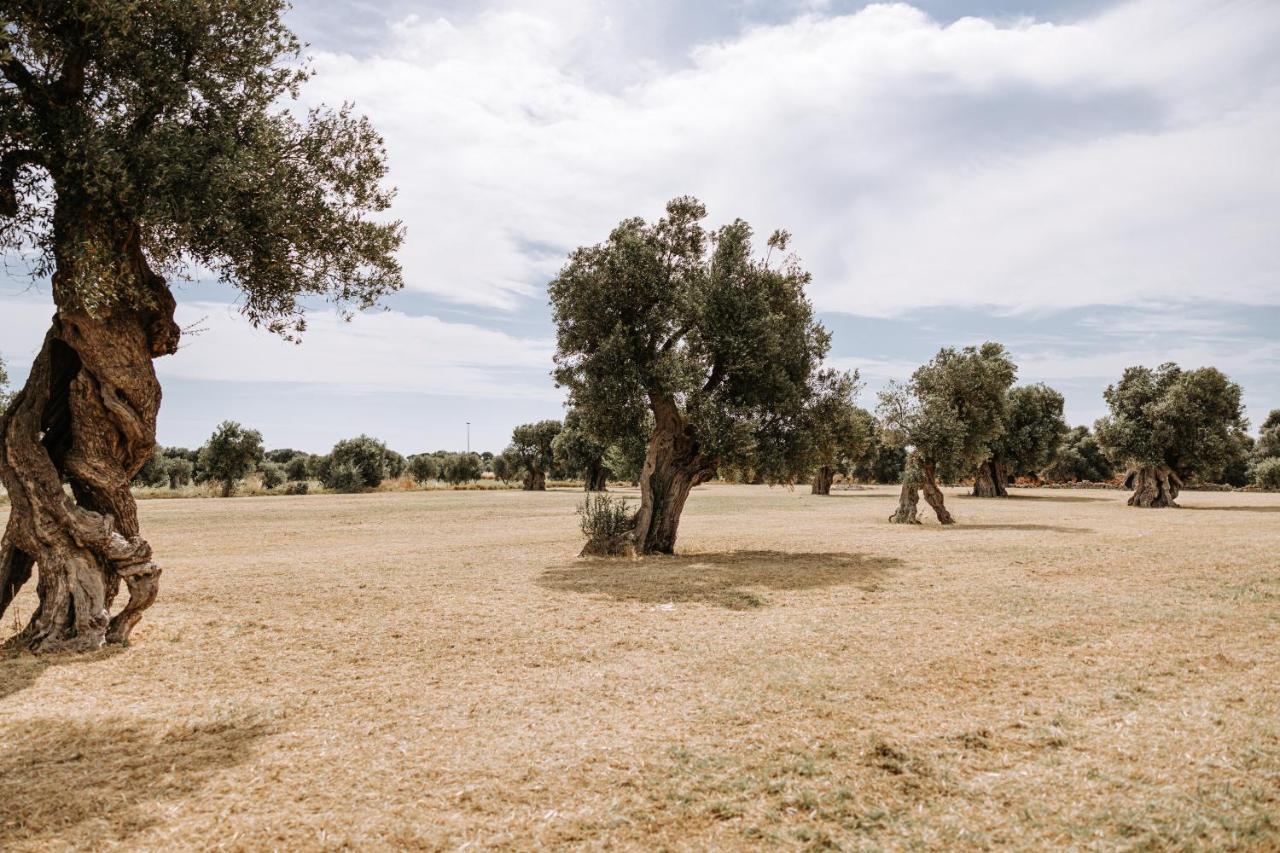 Masseria Garrappa Fasano